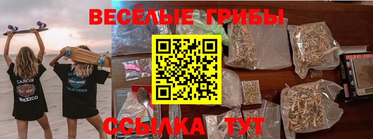Псилоцибиновые грибы прущие грибы Сунжа